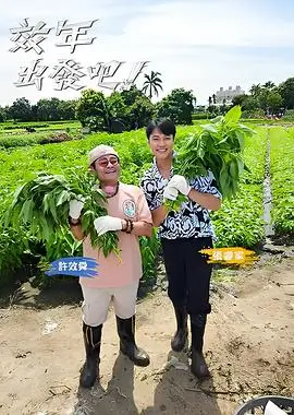 综艺更新 深夜食堂计划